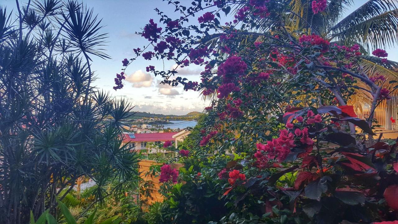 Studio Frangipani Dans Villa Fleurs Des Iles Le Vauclin Exterior photo