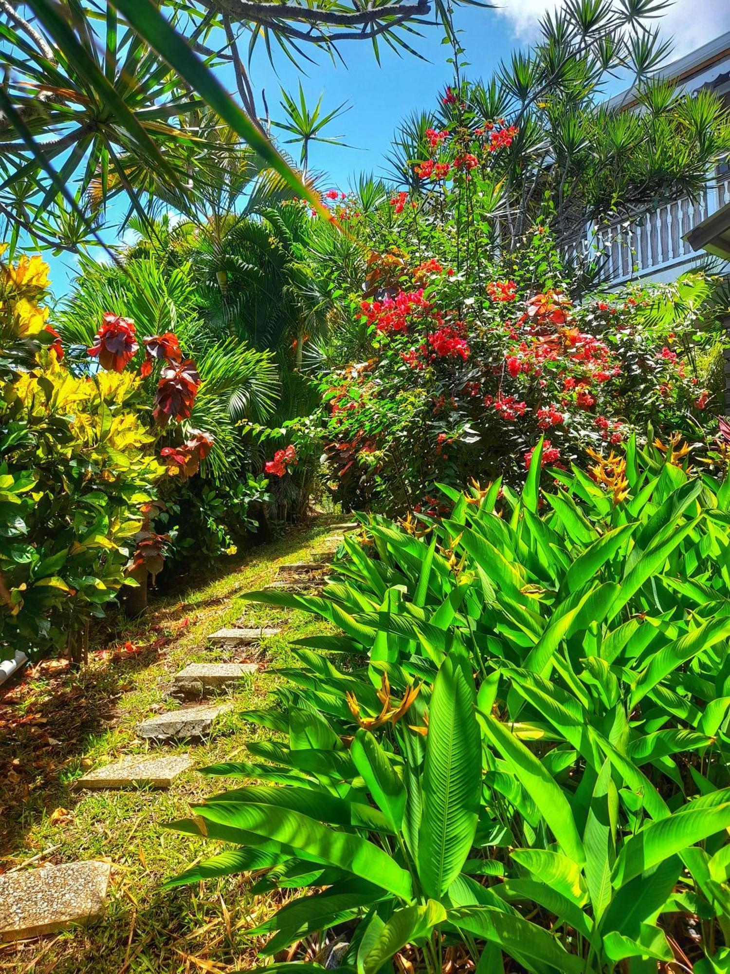 Studio Frangipani Dans Villa Fleurs Des Iles Le Vauclin Exterior photo